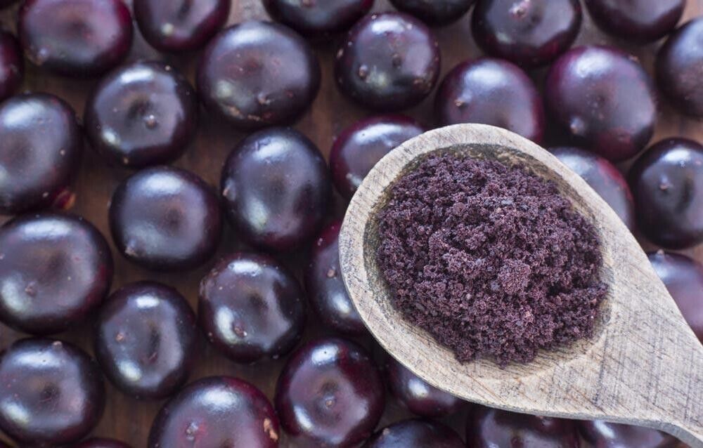 20:1 1000MG Acai Berry, This is about as strong as it gets! Organic Extract Powder 300 Capsules Potent Amazon Antioxidant 300 capsules